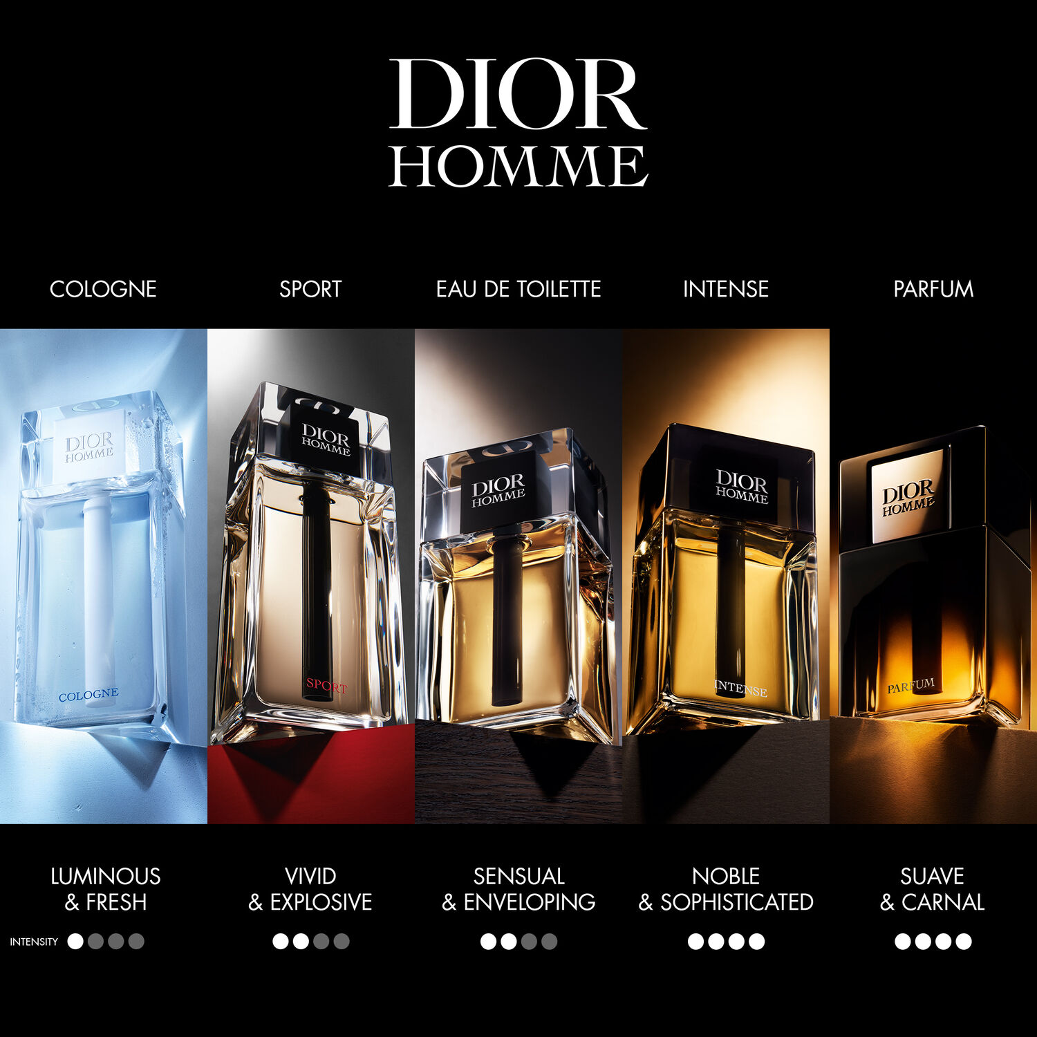 PERFUME DIOR HOMME ÁMBAR NOTAS AMADERADAS Y FLORALES